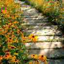 手机用户3083_1xhs