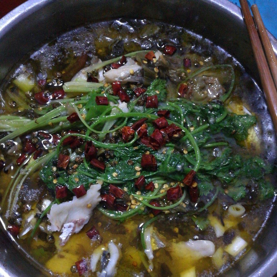 绝不会失手的酸菜鱼