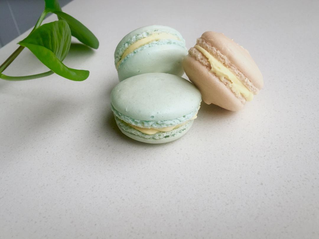 成功率高的新手面粉版法式马卡龙