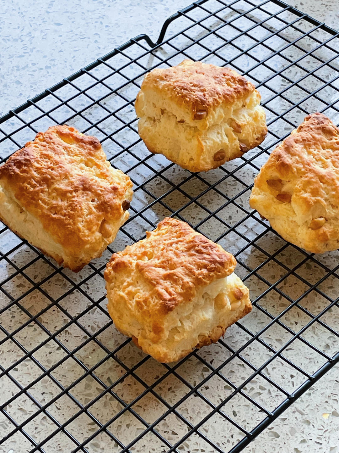朴素的椰子油咸司康<Coconut Oil Biscuits>