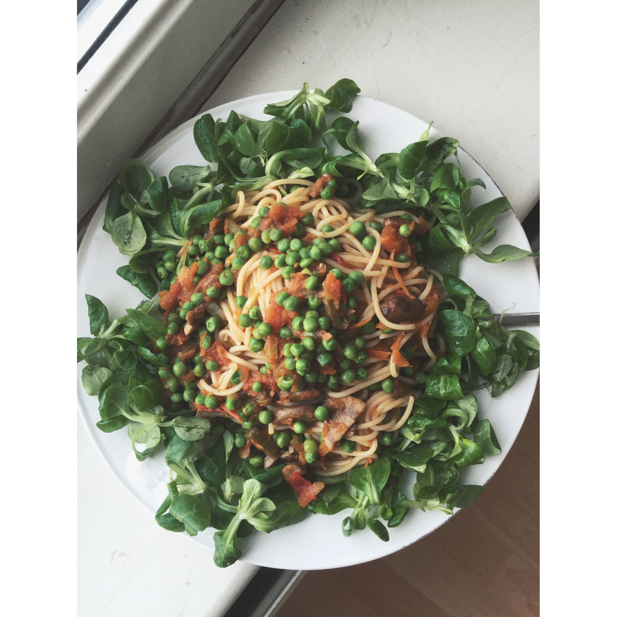 全素戒辛的清心寡欲日子 ಠ_ಠ