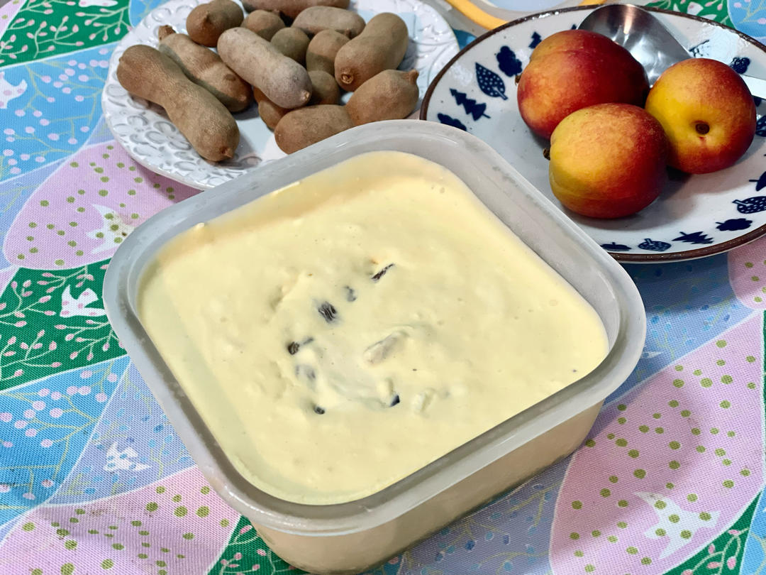 朗姆黑加仑冰淇淋 Rum Raisin Ice cream