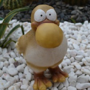 shanshan-z