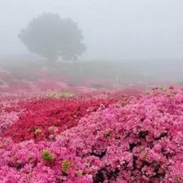 蓝蓝一片天2017