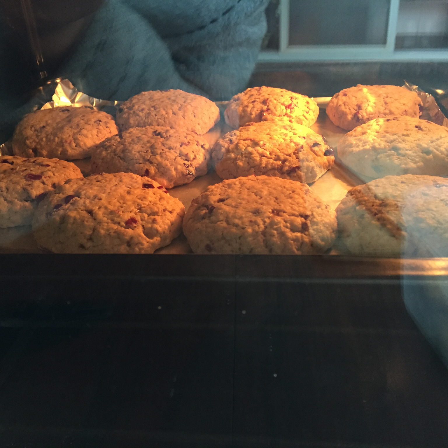 葡萄干燕麦饼干【玛莎斯图尔特】