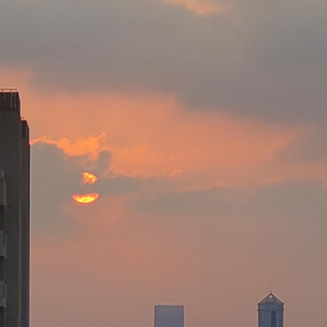 鬼鬼今天吃啥了