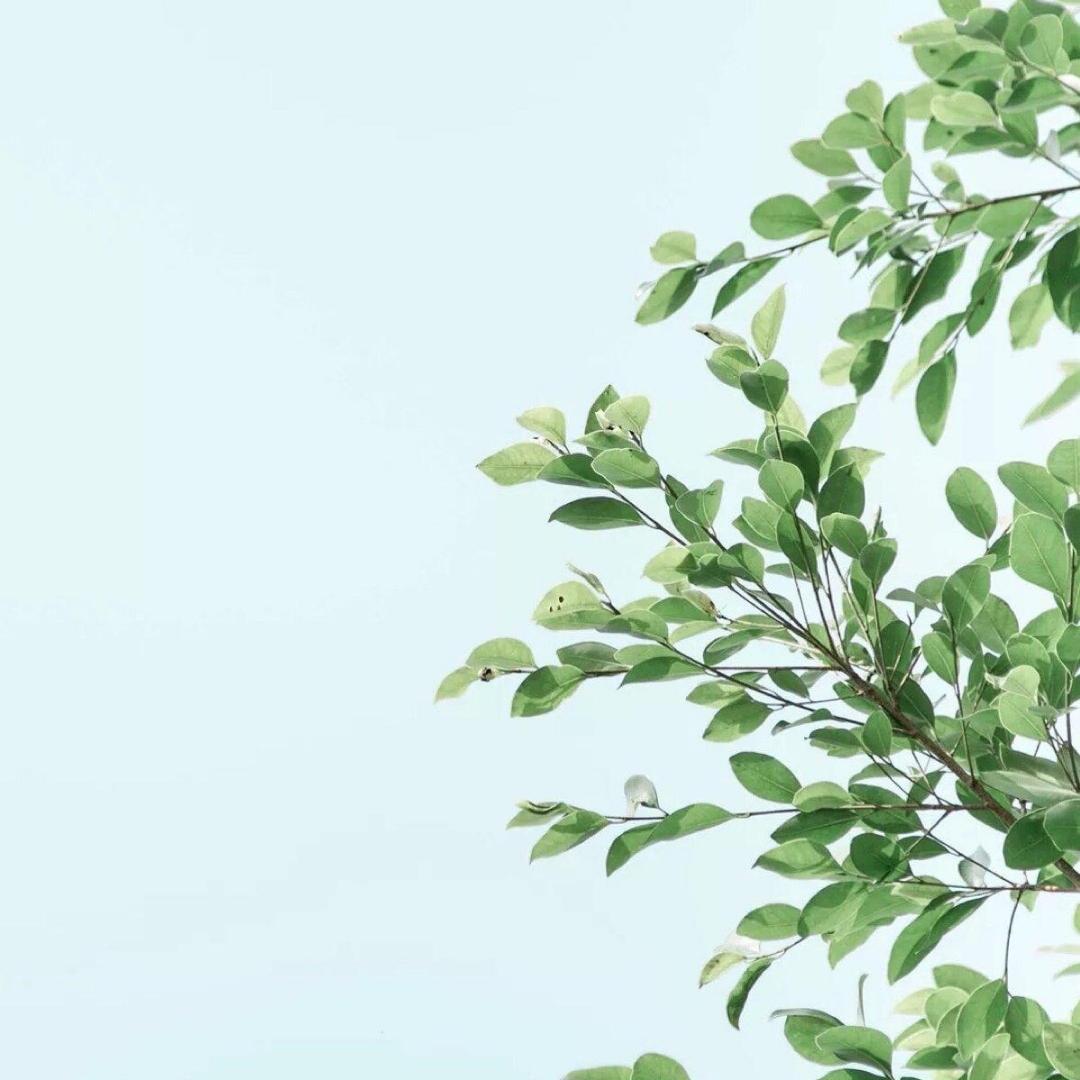 咯叽秴叽