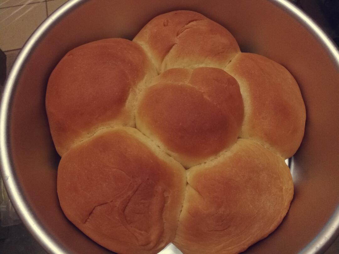 最省力气、不需摔面快速出手套膜（后酵母法）