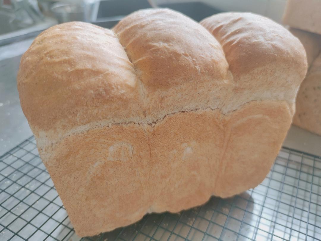 黑全麦波兰种吐司，这么柔软简直怀疑你是个假全麦！