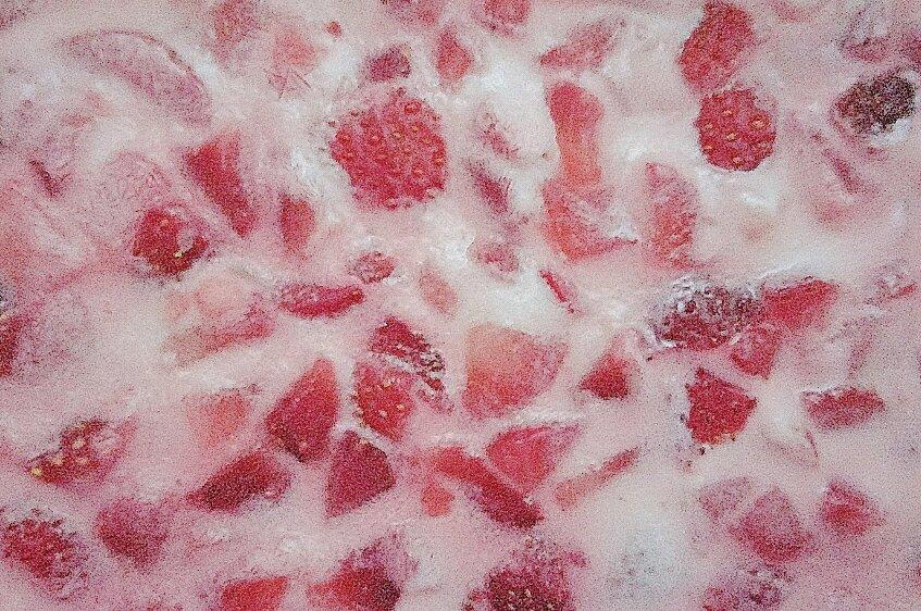 酸奶水果薄脆Yogurt Fruits Bar