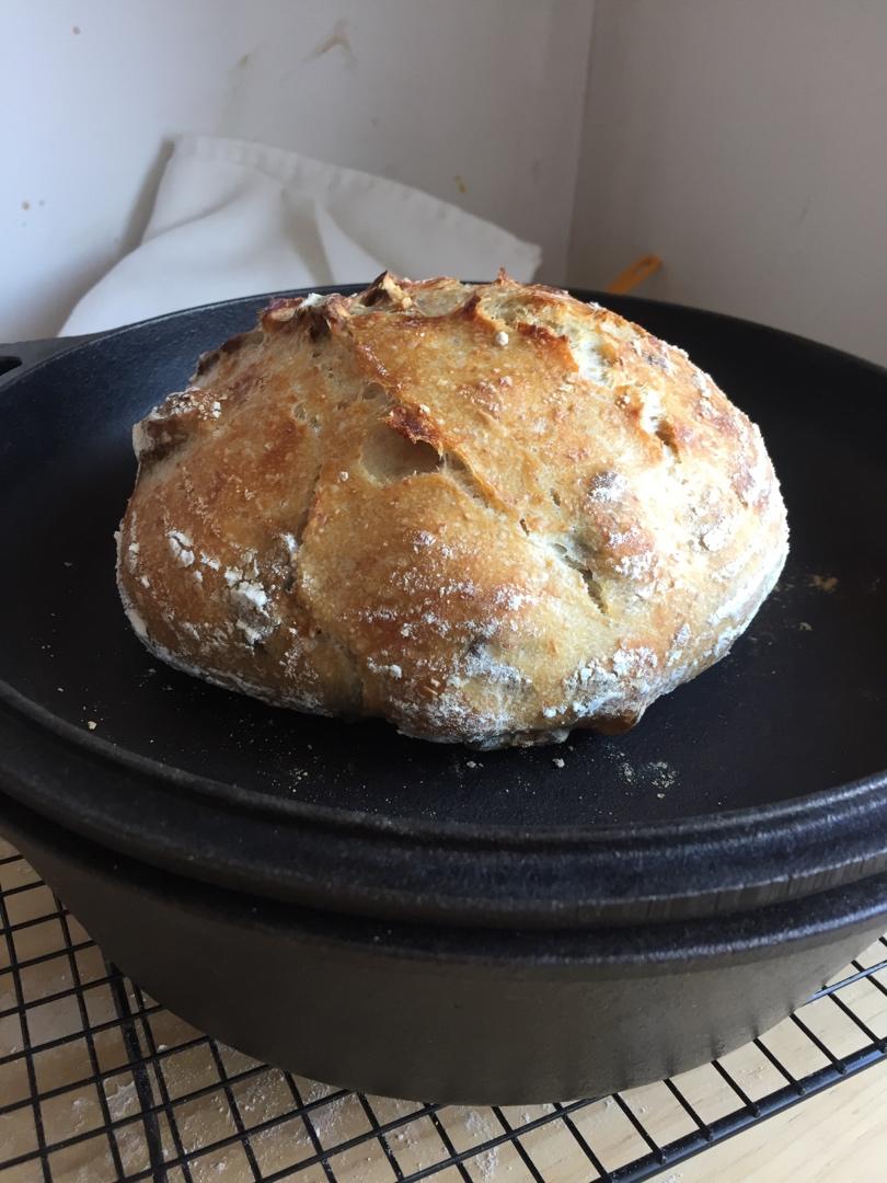 天然酵种乡村欧包/鲁邦种