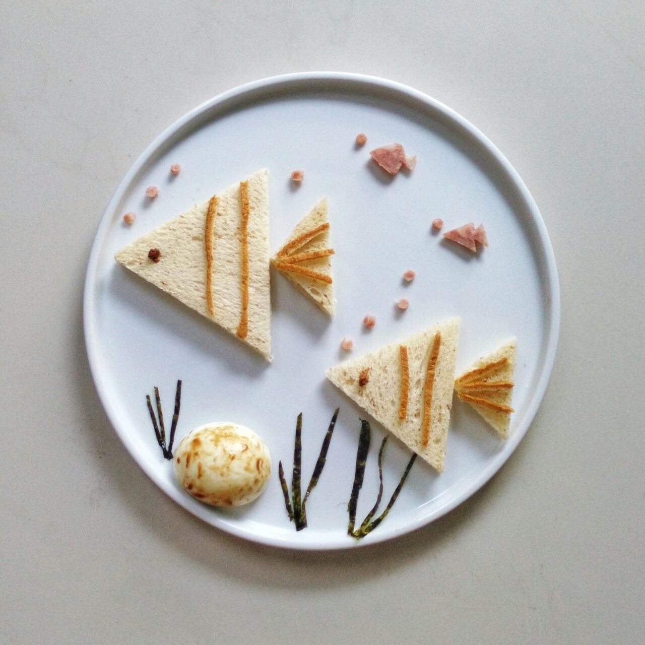 神秘有趣的海底世界