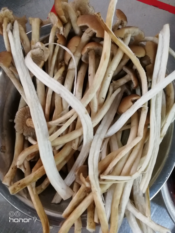 茶树菇炒牛肉的做法 步骤2