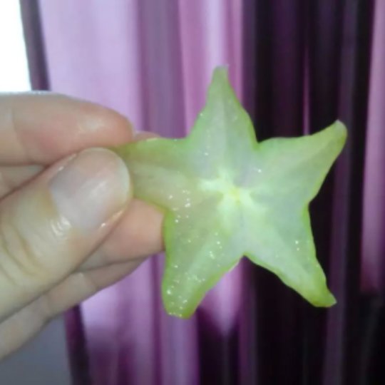 杨桃的朴素吃法-杨桃&白糖