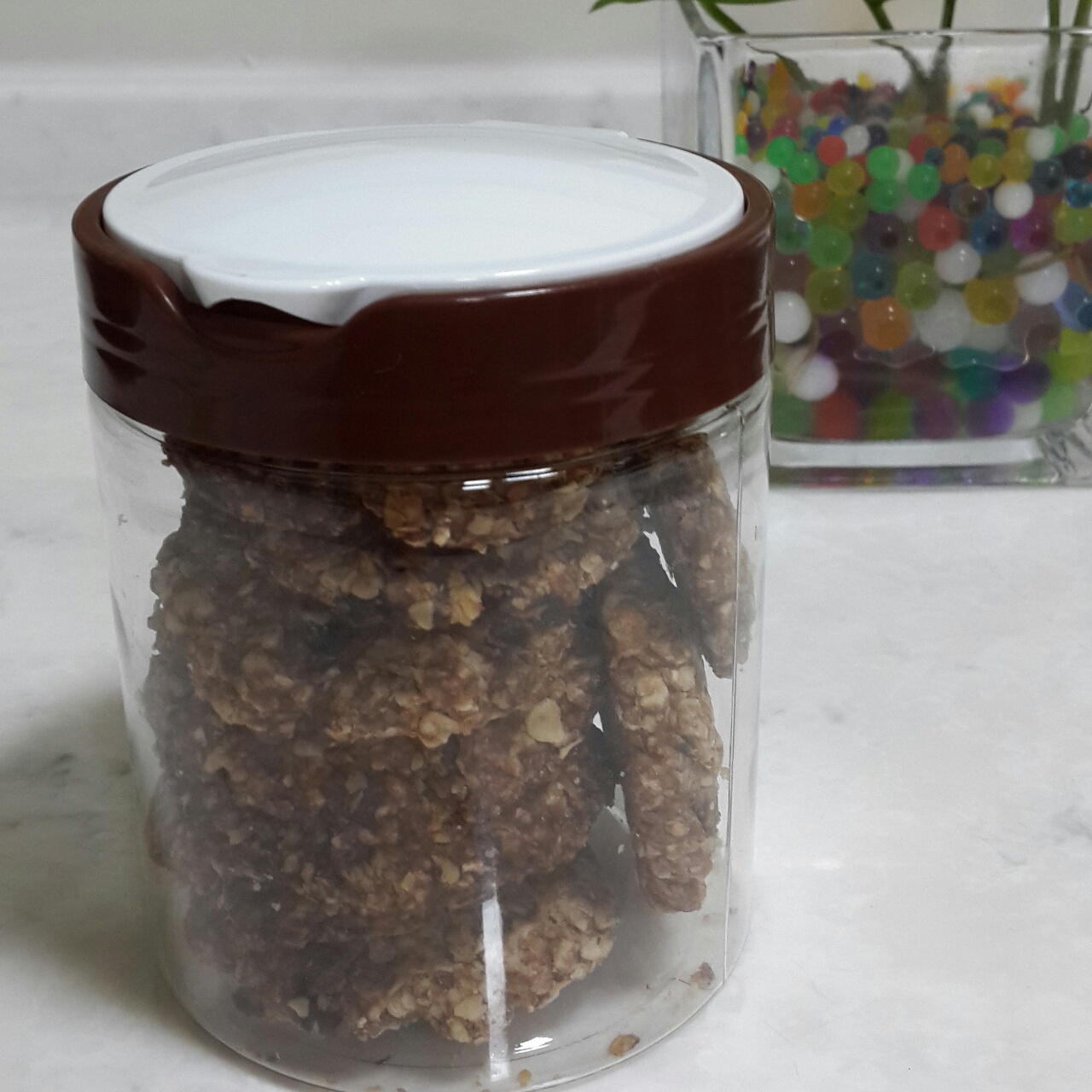 中岛老师的燕麦饼干