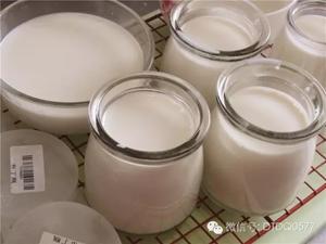 自制酸奶简述的做法 步骤5