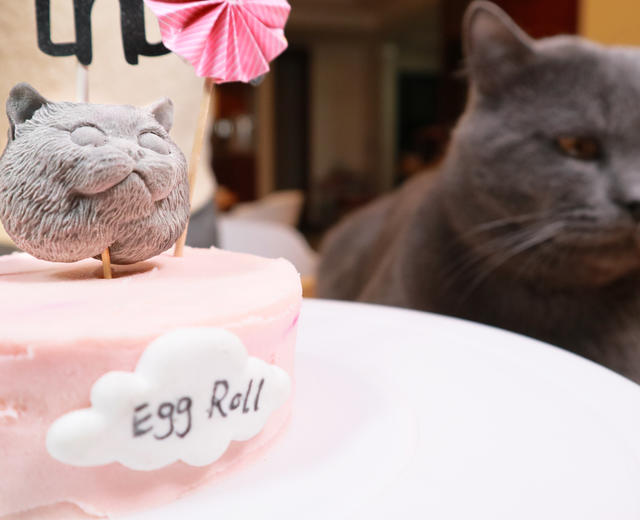【猫饭】：鸭肉芝士宠物蛋糕的做法