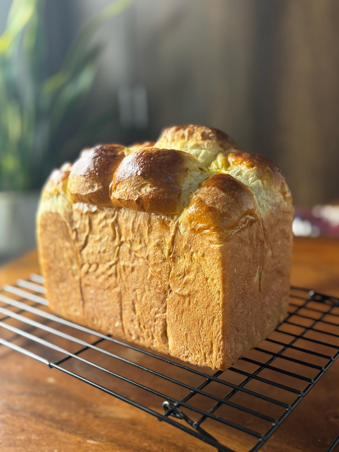 早餐•2026年3月19日