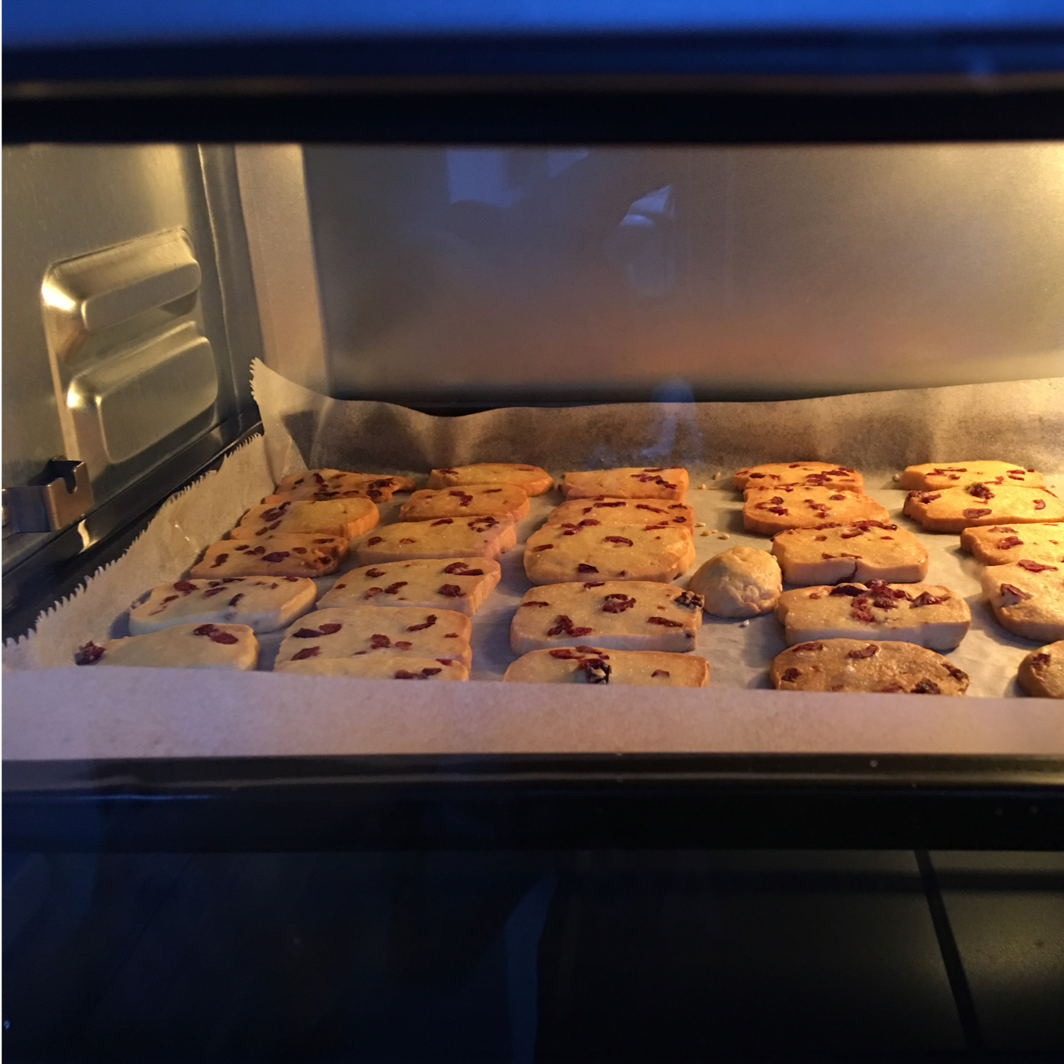 蔓越莓饼干 蔓越莓曲奇