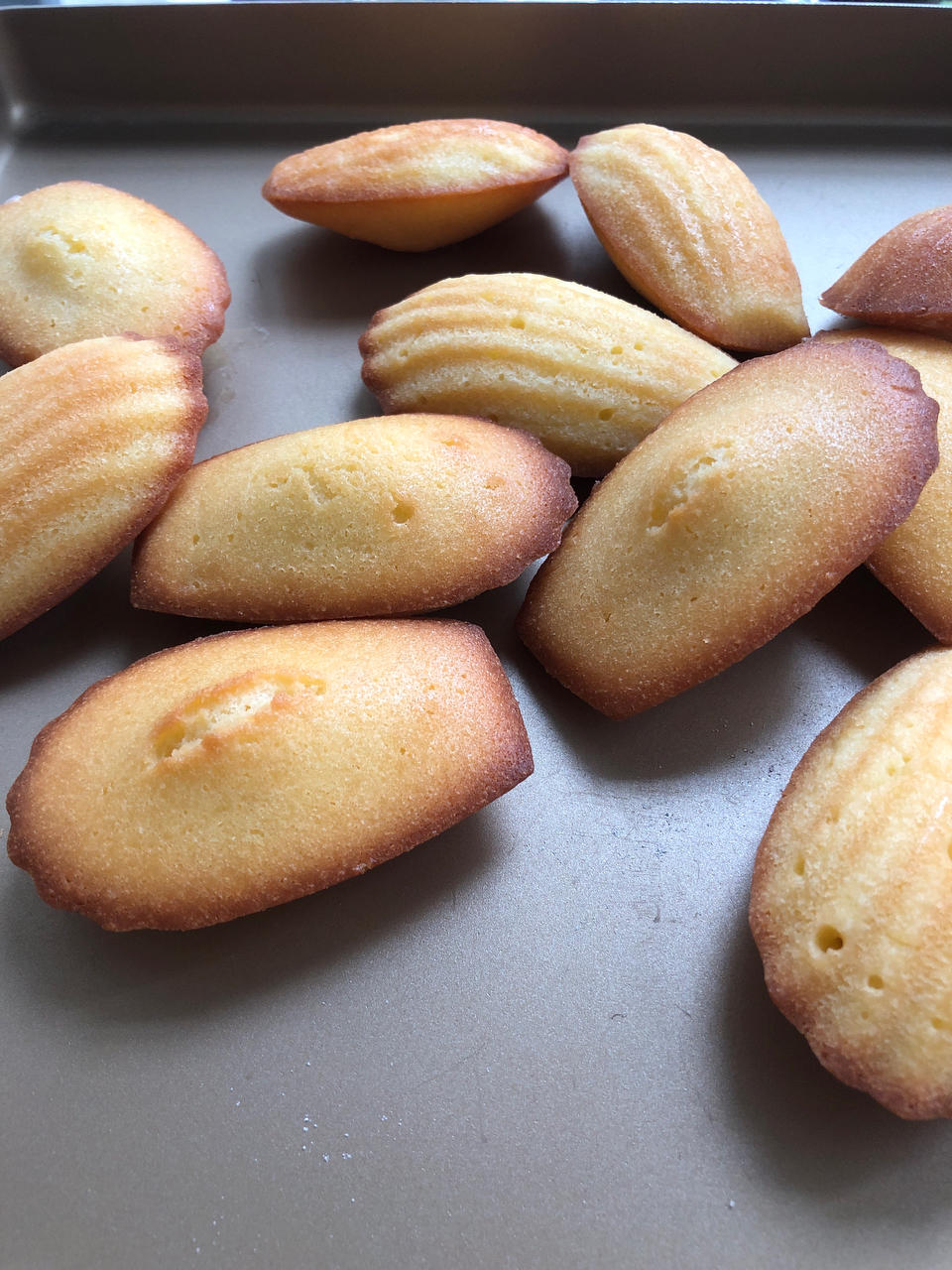 经典原味玛德琳蛋糕