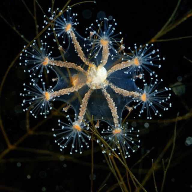 慢慢开出一朵花