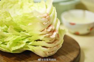 北鼎铸铁锅食谱｜猪肉白菜锅的做法 步骤6