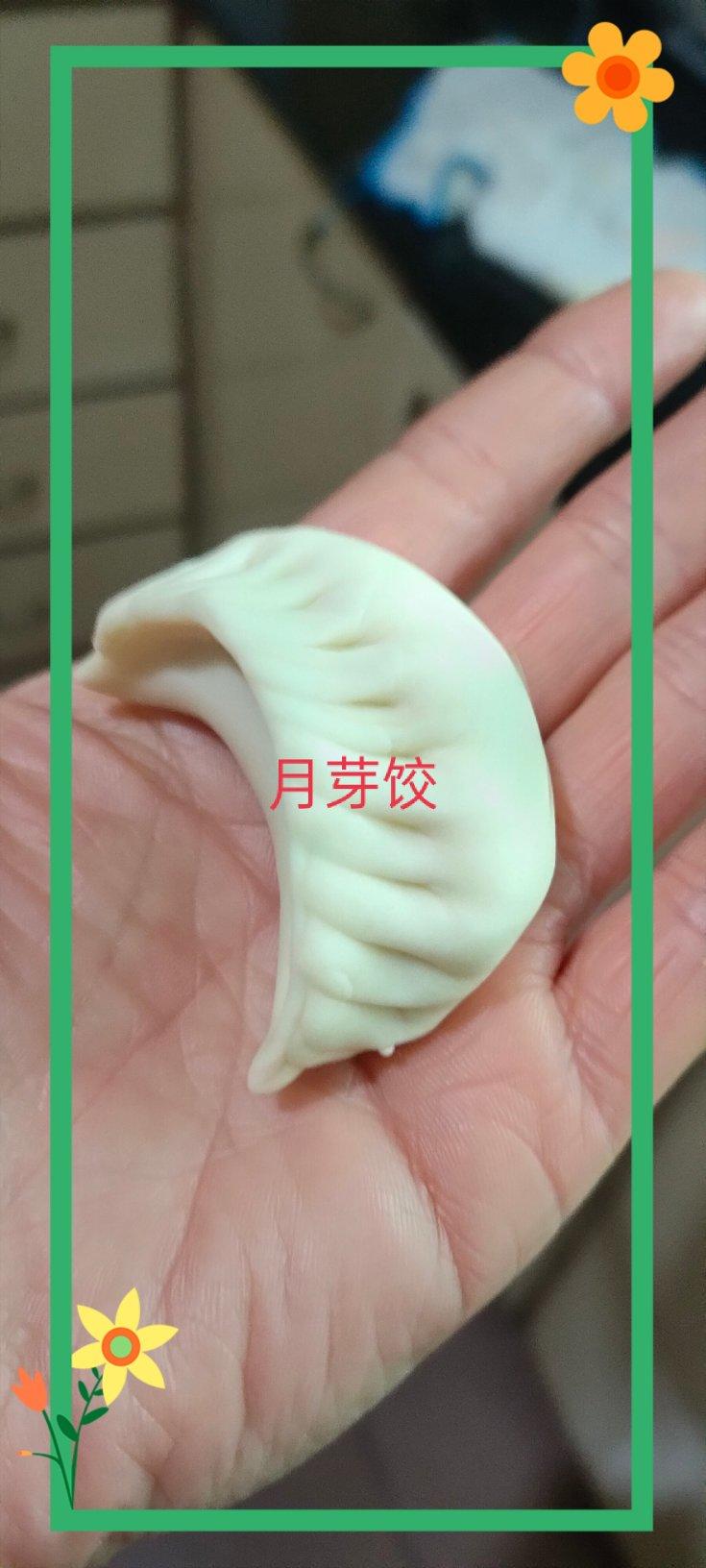 花样饺子包法视频