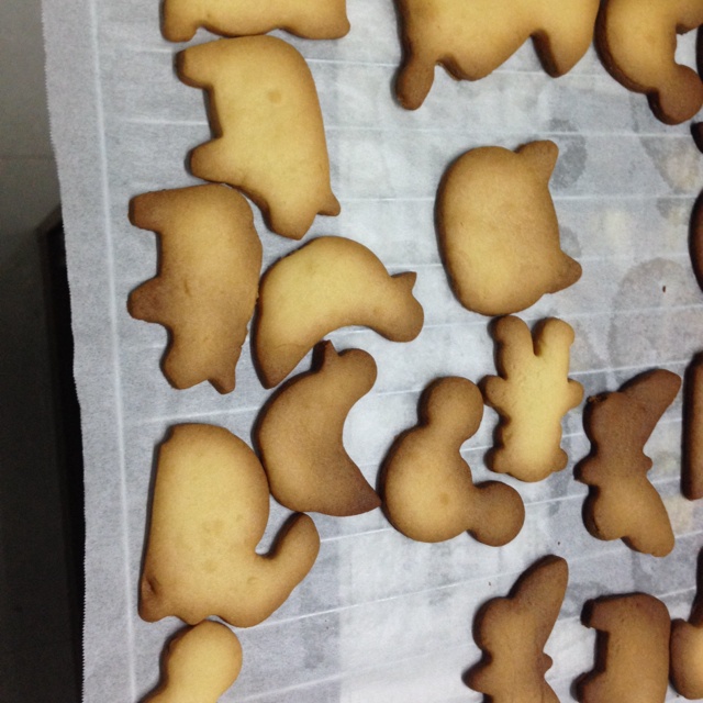 动物饼干