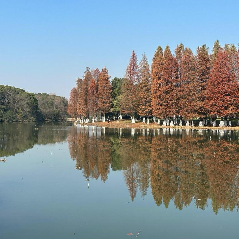 以后会是大厨