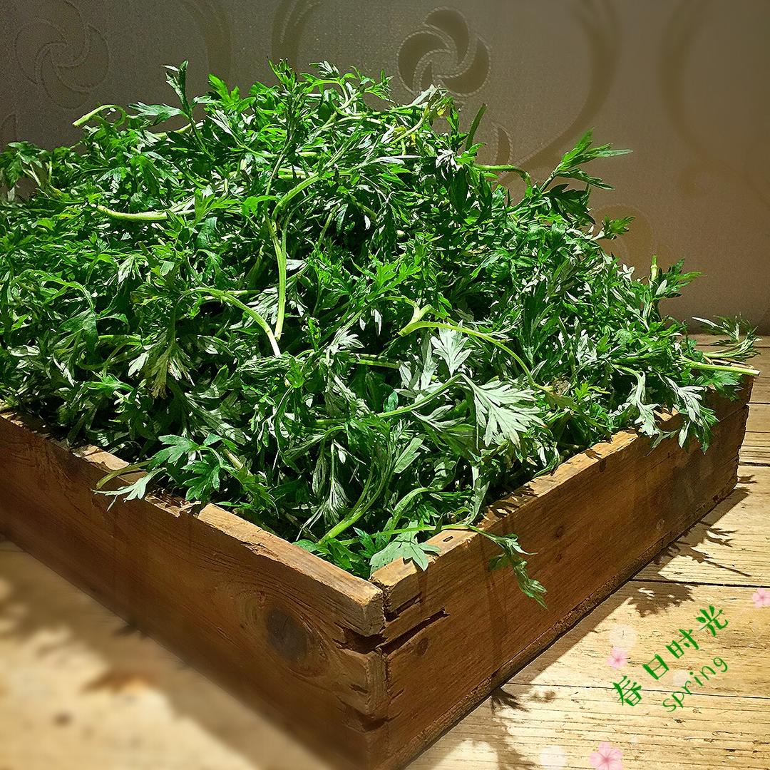 艾草的处理方法