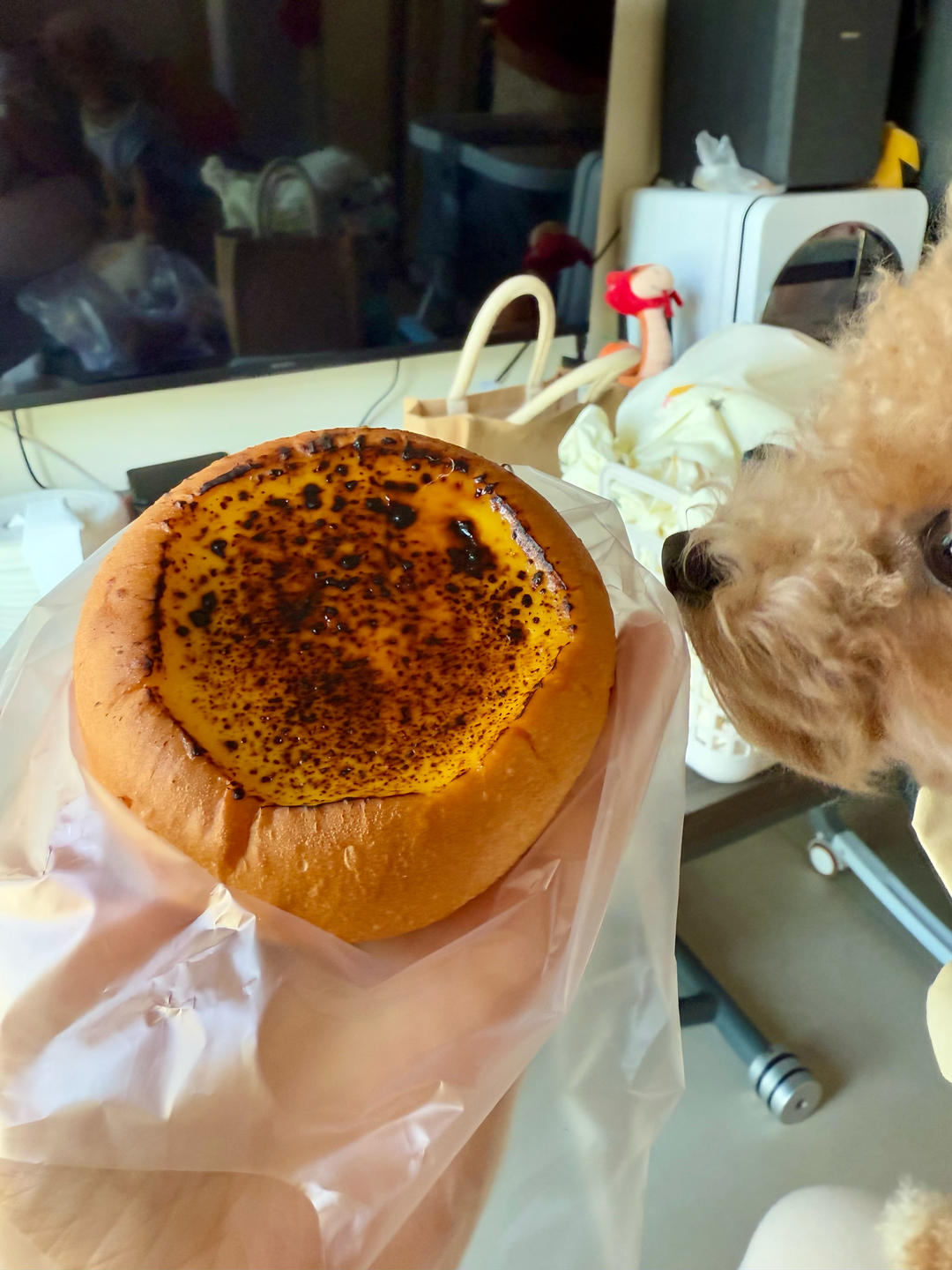 ⑅❛ ᵕ ❛⑅小零嘴與外食(•́₃•̀)