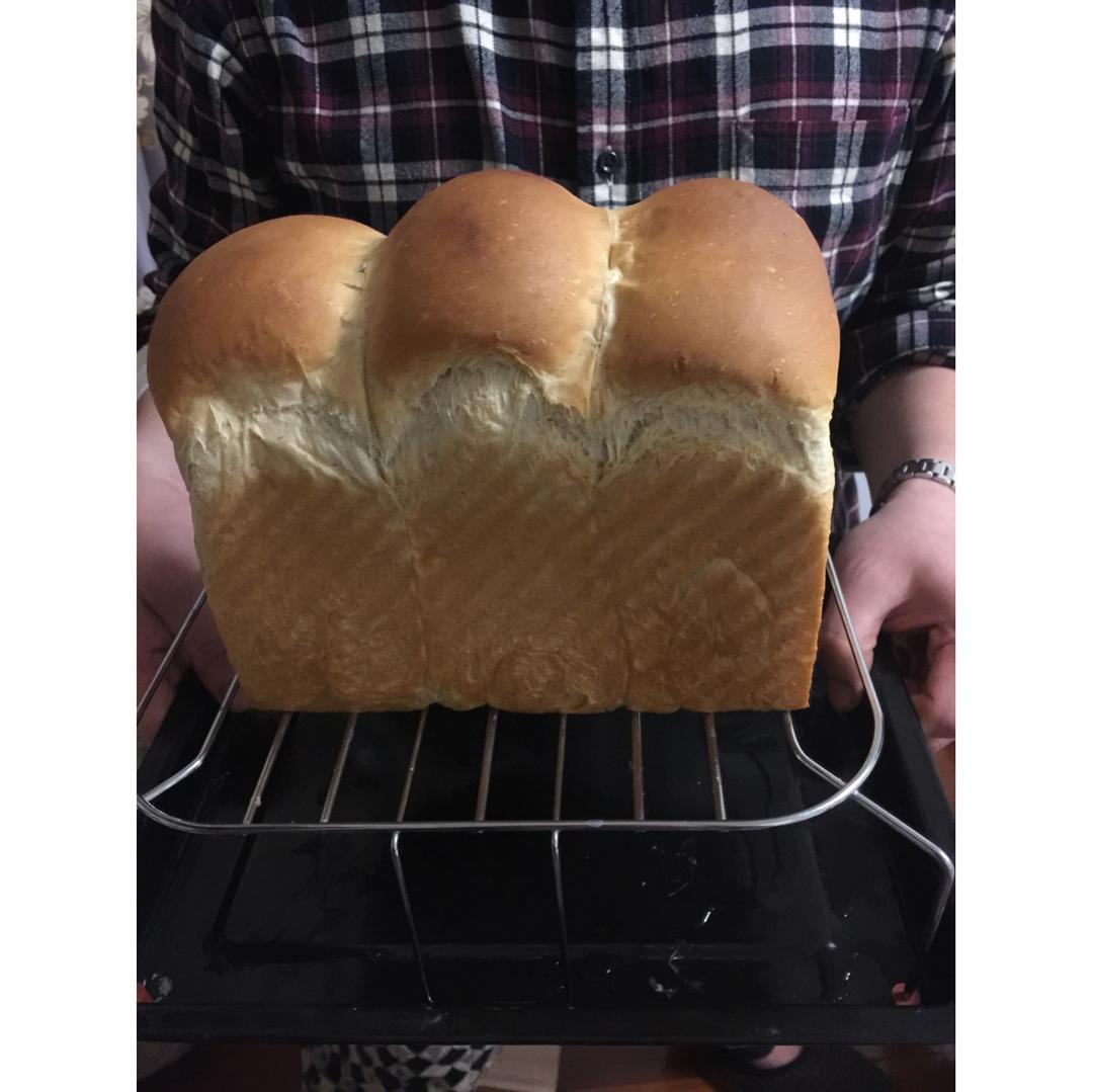 一整个蛋吐司（超好记的万能吐司配方）