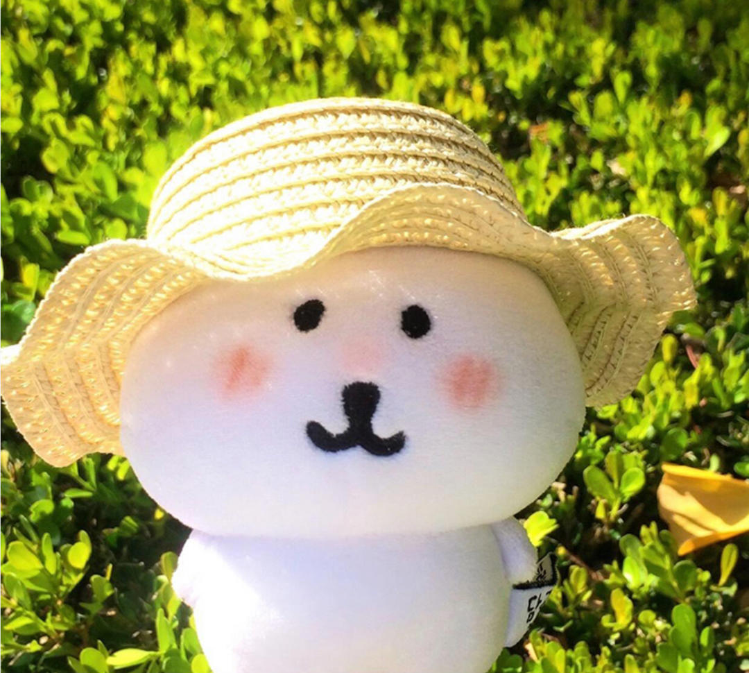 小园香径独徘徊