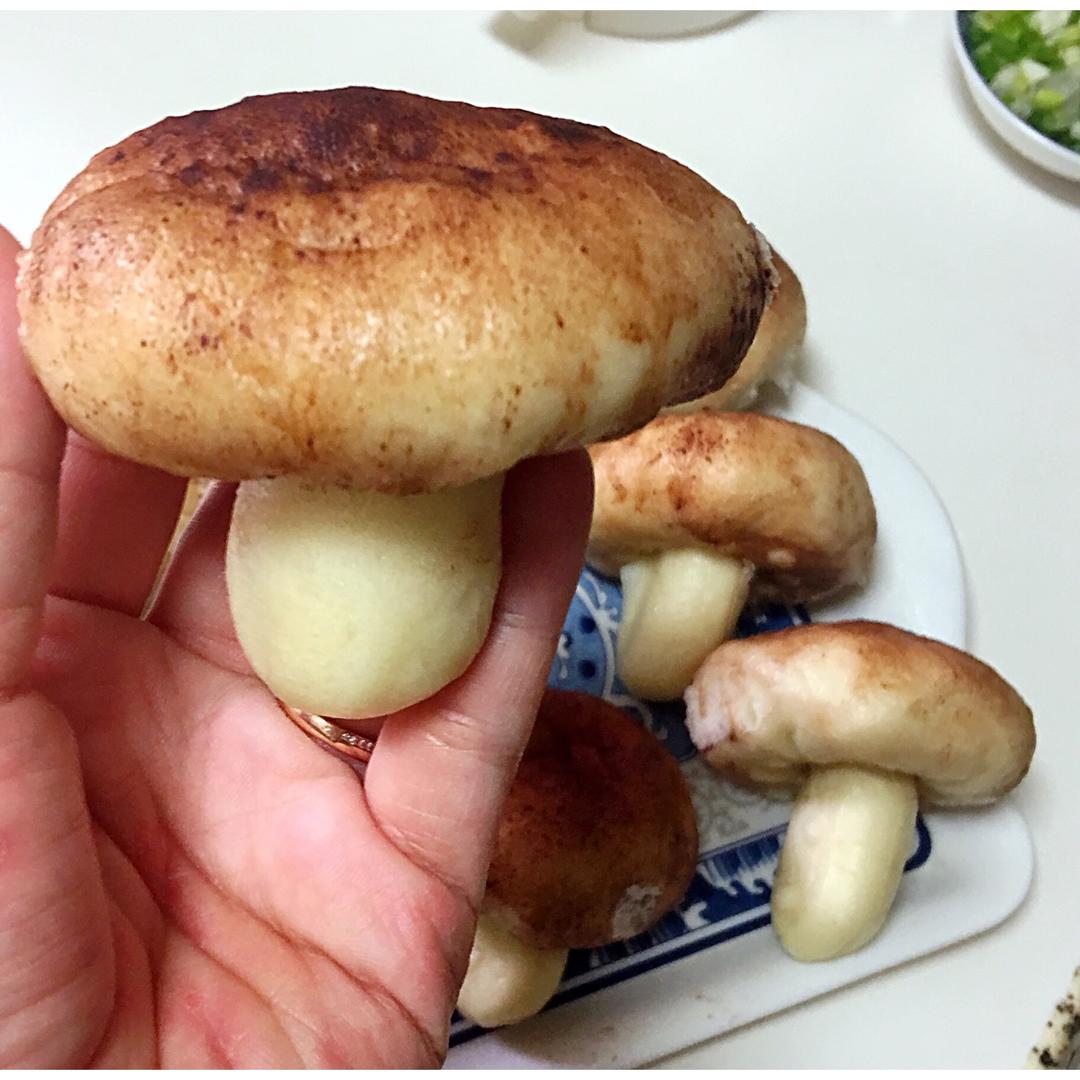 蘑菇包
