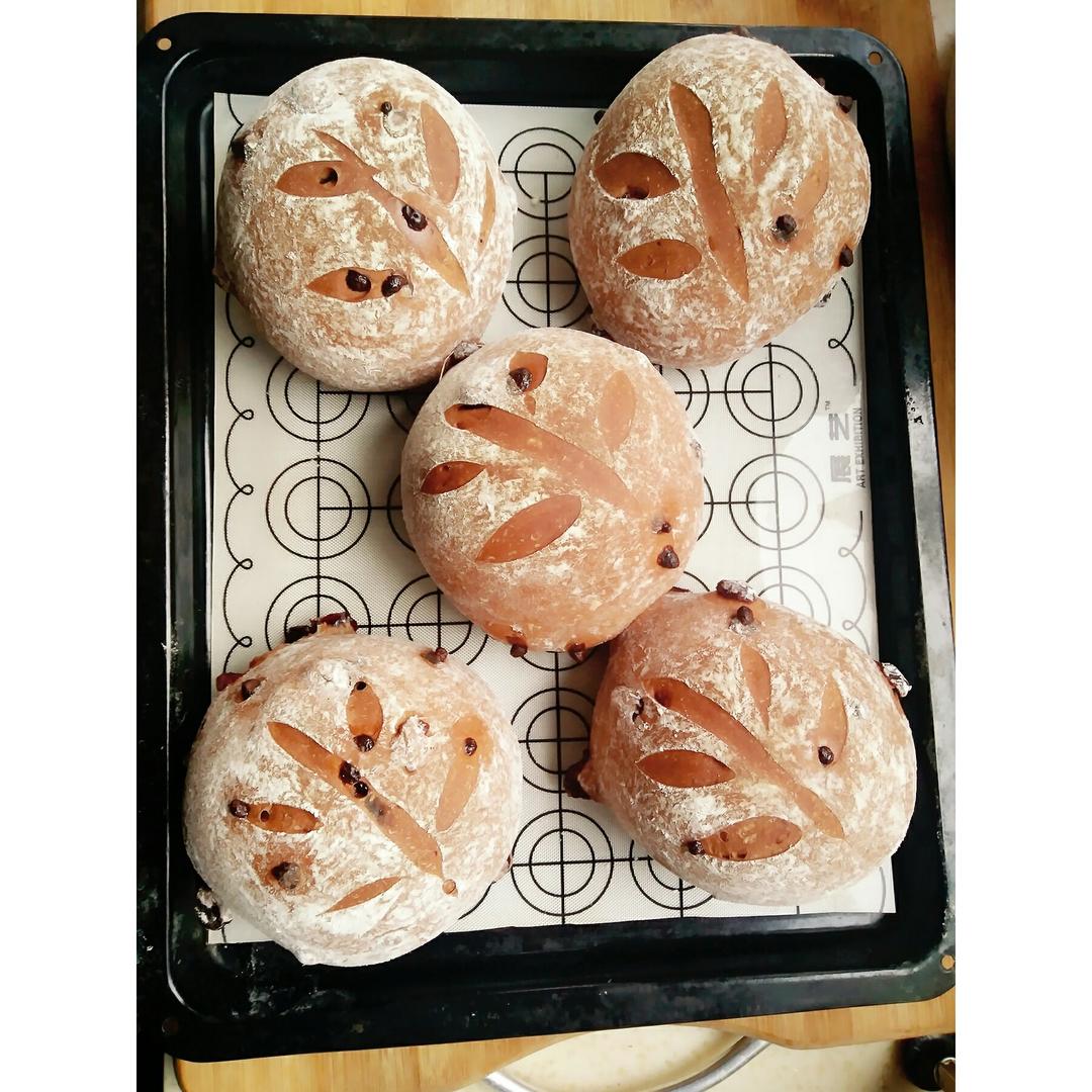 巧克力蔓越莓软欧 Rano Bread