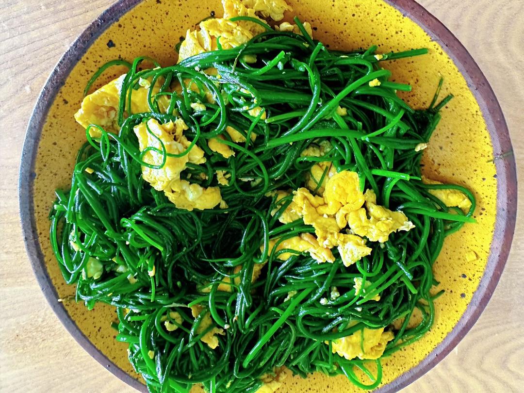 我炒了一盘世上最昂贵的葱：沙葱炒鸡蛋