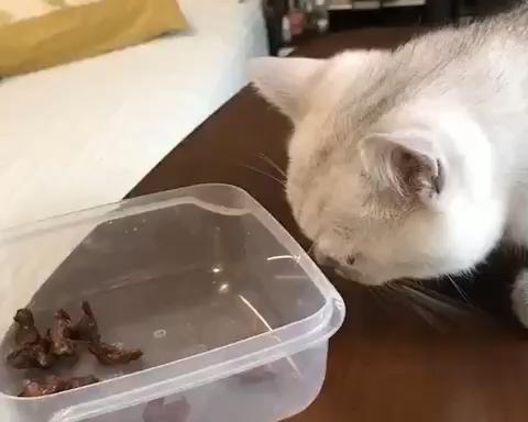 猫饭烤牛肉的做法 步骤4