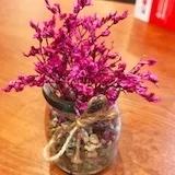 哈哈哈太好玩了吧