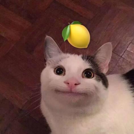 手机用户6710_rwv2