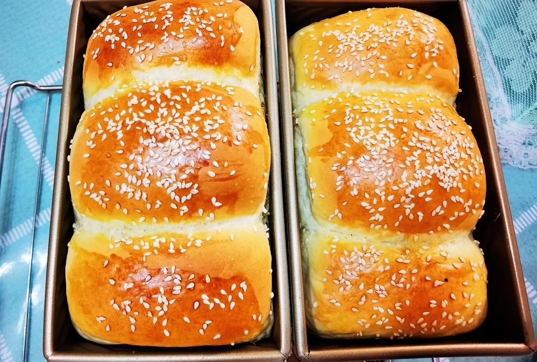 基础牛奶小餐包/汉堡胚/吐司（一次发酵，极简原料）