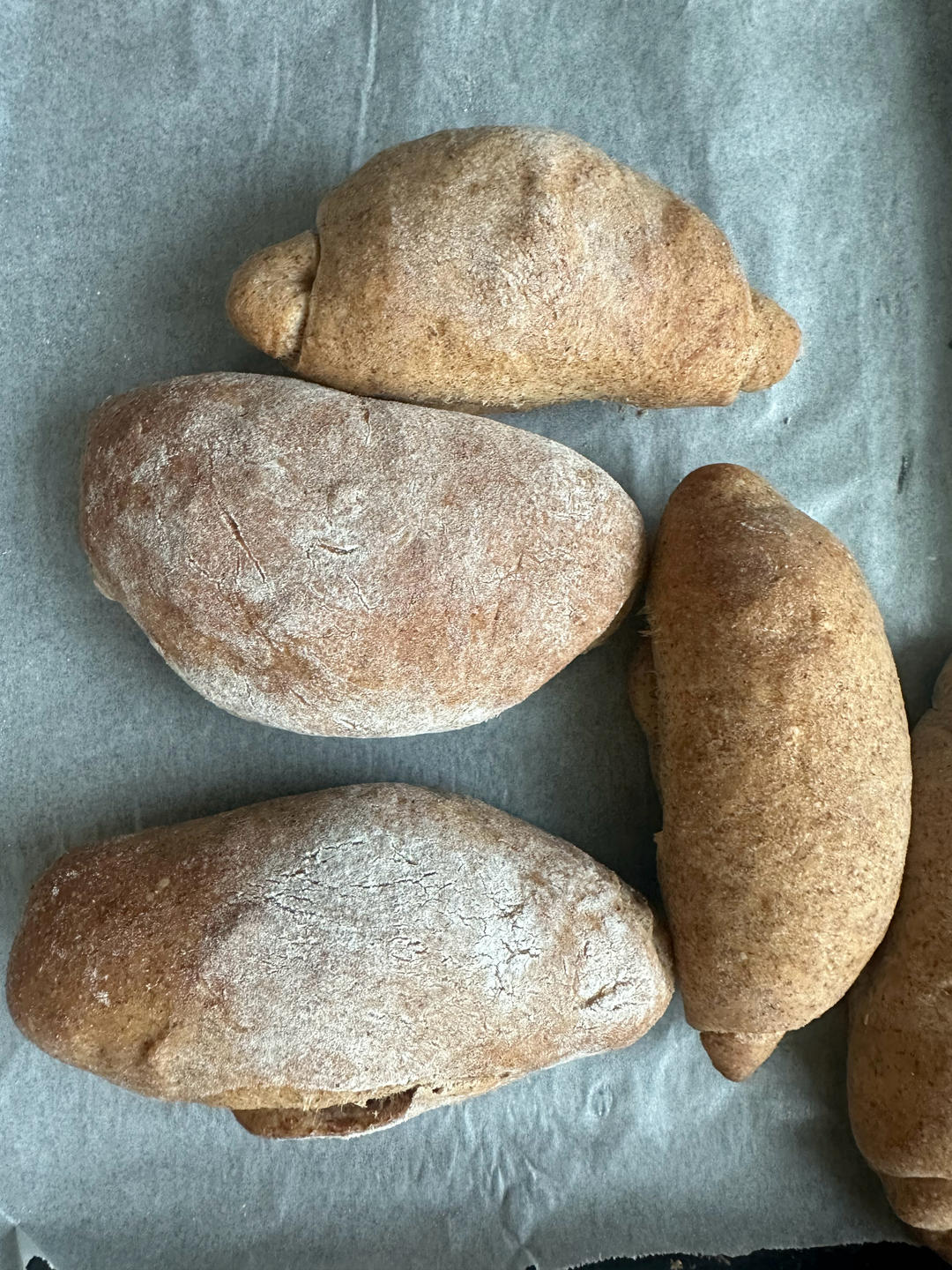 最近这个太火了，黄金芝士帕尼尼！