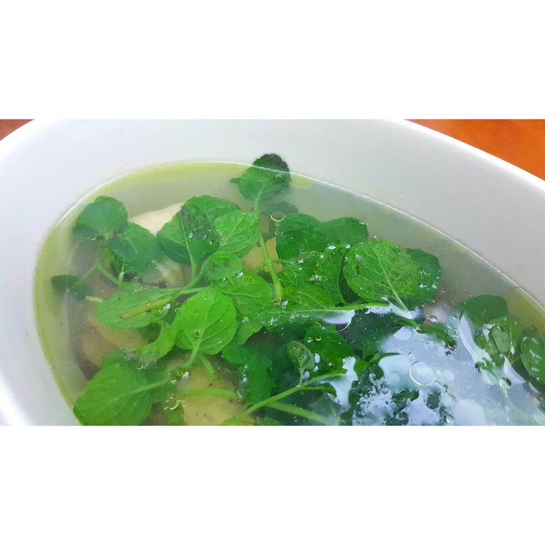 薄荷鸡汤