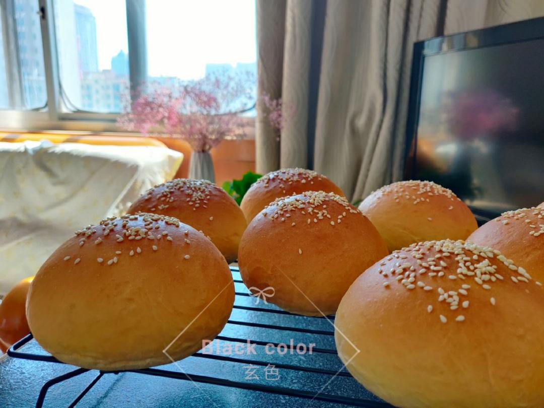 汉堡胚 poolish（波兰种）