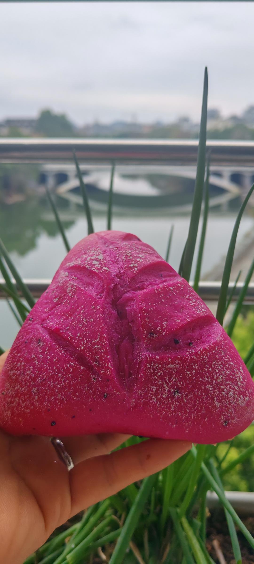 火龙果软欧包，粉嘟嘟～