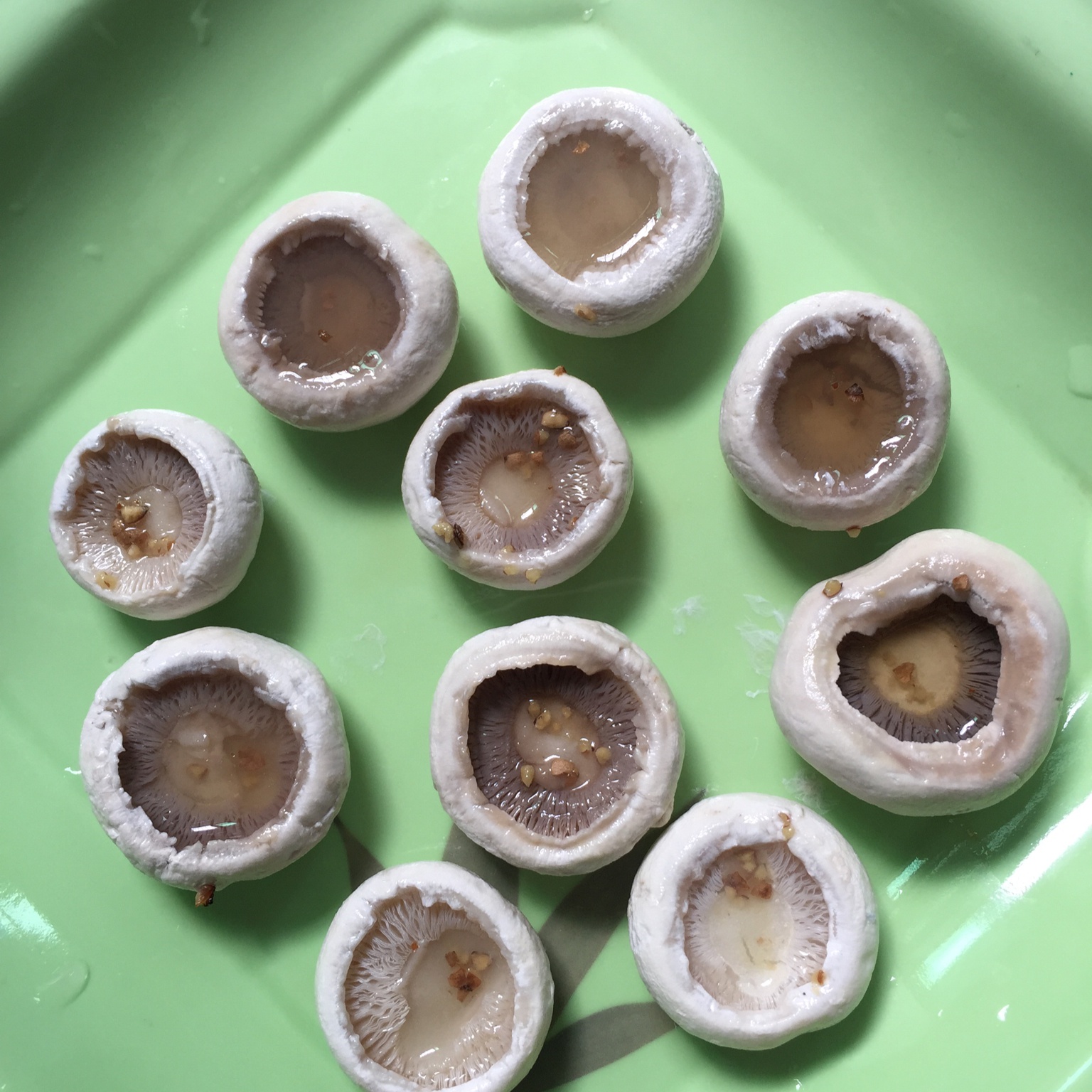 原汁原味的蘑菇