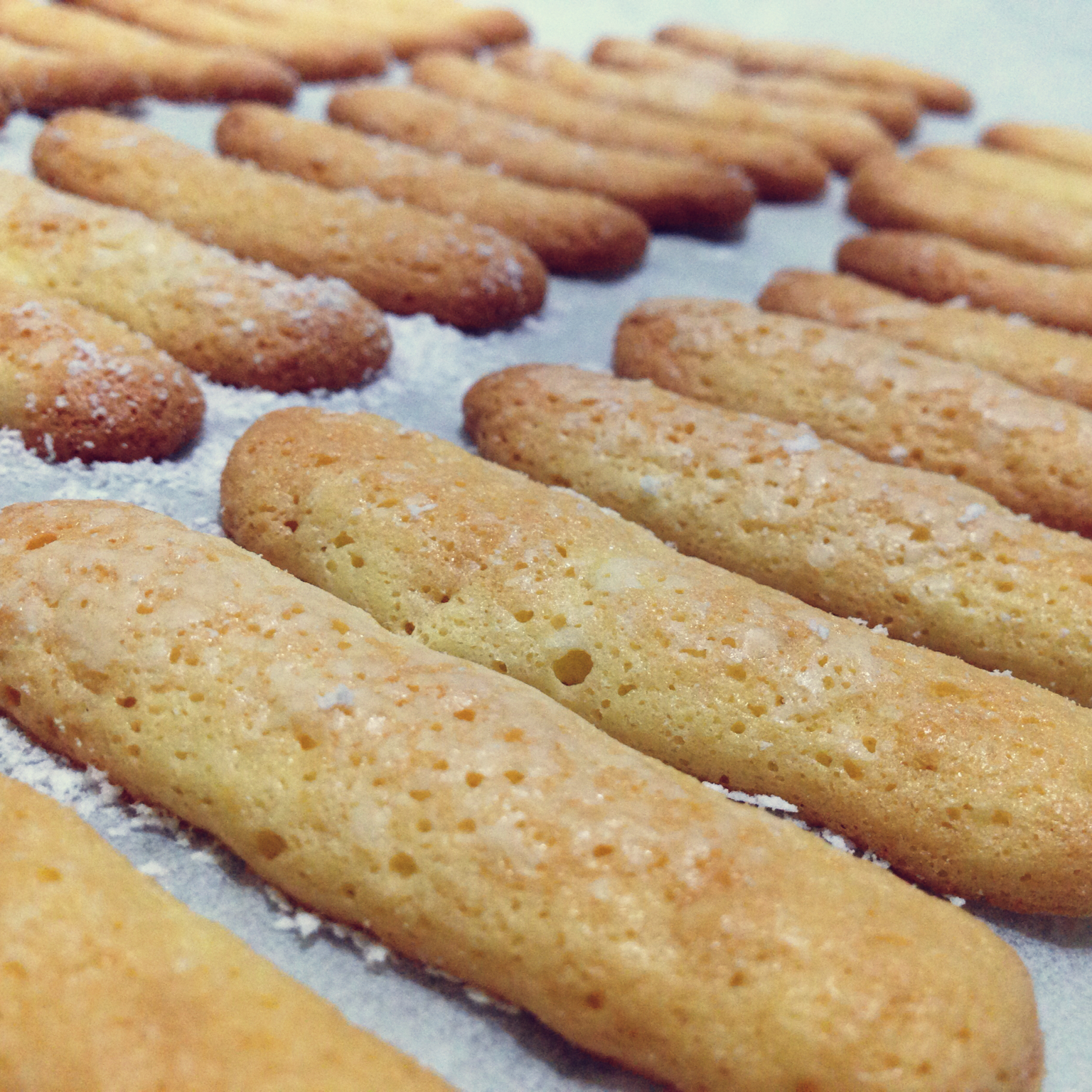 乱舞的精灵做的ladyfinger手指饼干