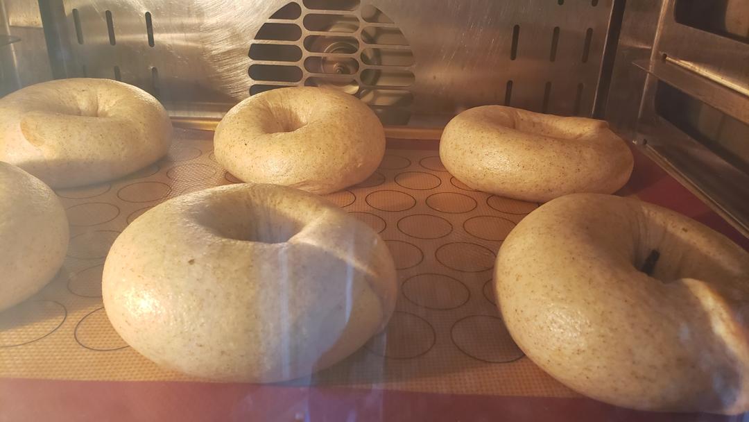 全麦贝果🥯