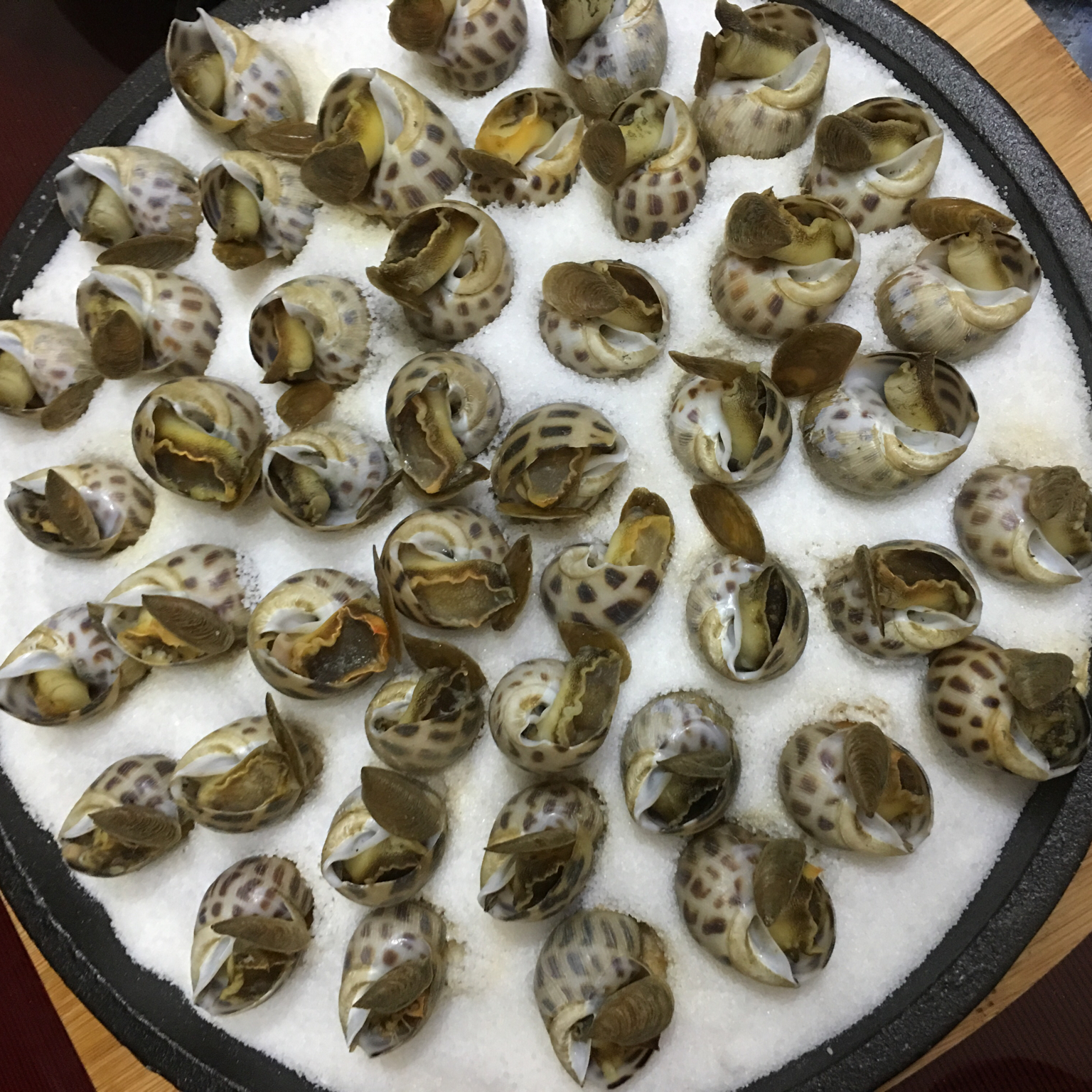 【盐焗香螺图片】banana_6a1i_下厨房