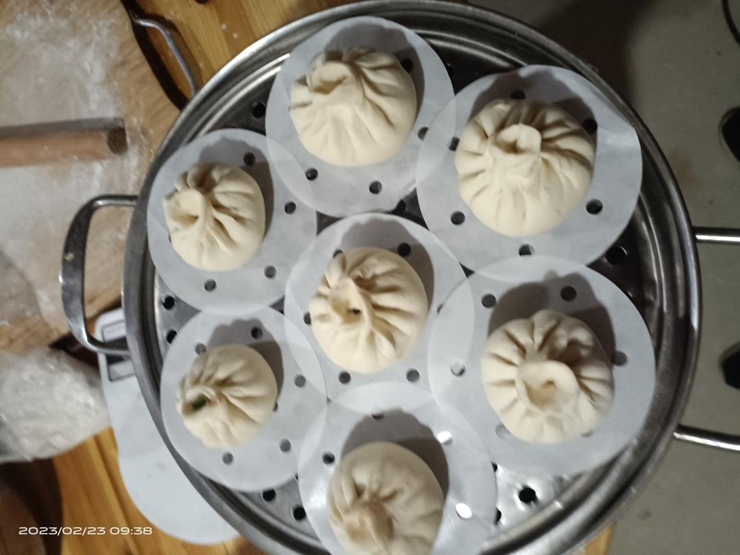 一次发酵肉包子