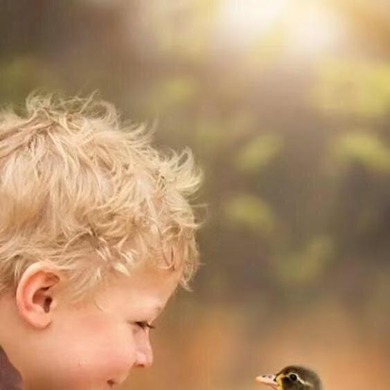 多多手机用户8123